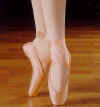 Capezio Nicolini Pointe Shoes