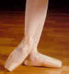 Capezio Contempra Pointe Shoes